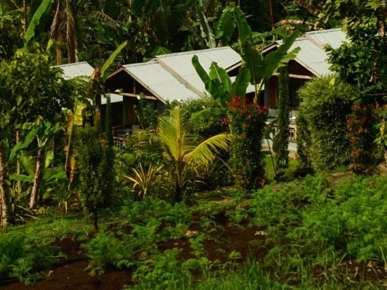 The Geckos Homestay Kelimutu Szoba fotó