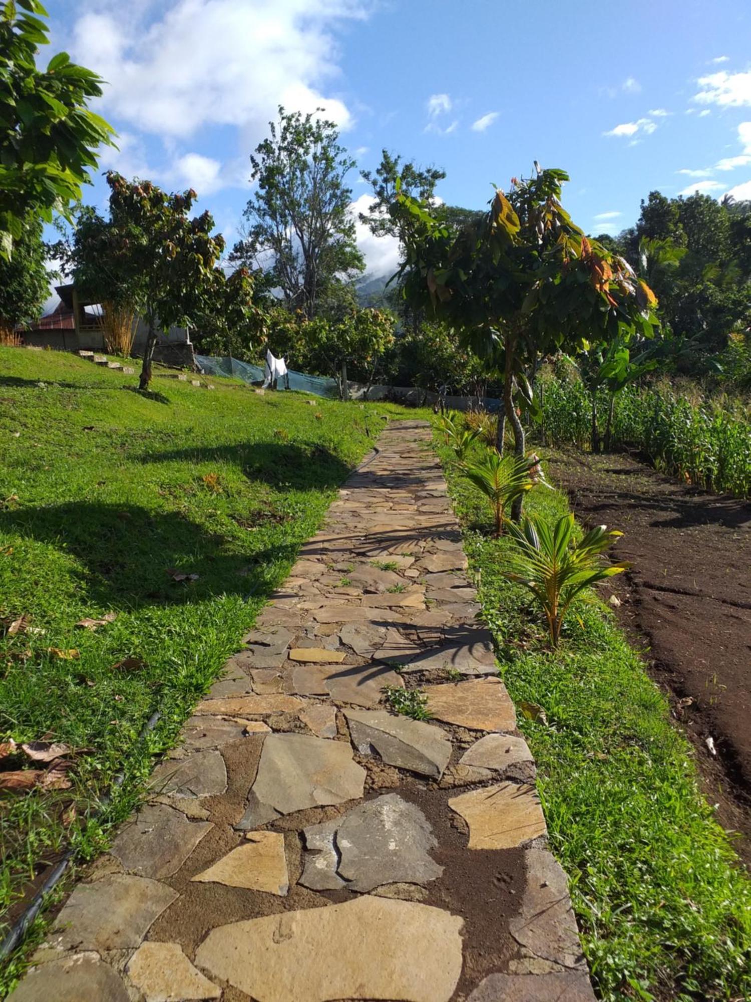 The Geckos Homestay Kelimutu Szoba fotó